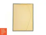 Indrammet botanisk tryk (str. 40 x 30,5 cm) - 4
