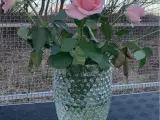 Pindsvine vase
