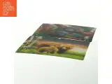 Postkort med dyremotiver fra Wild Republic (str. 15x10 cm) - 3