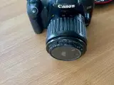 Canon EOS 450D - 2