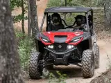 Yamaha Wolverine RMAX2 1000 - 5