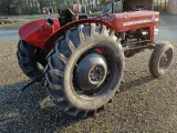 Massey Ferguson  135  Traktor - 5