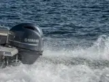 Yamaha F100LB - 4