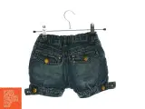 Shorts fra Miniature - 2