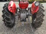 massey ferguson 35, 3 cyl Diesel - 3