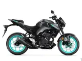 Yamaha MT-03 - 2