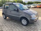 Fiat Panda 1,2 69 Dynamic - 4