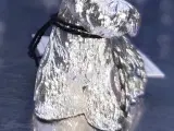 Sølv: Fransk terrier i miniature