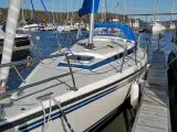 Sejlbåd, Nordship 808 - 2