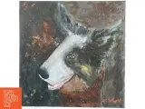 Maleri af hund (str. 50x50 cm) - 2