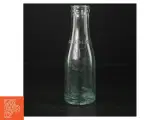 Gamle glasflasker med præget logo (str. H. 19 cm. 250 ml) - 2