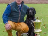 Bonni Gul Formel 1 Labradorhvalpe (tæve) 13 uger - 5