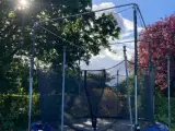 JumpXKids50