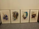Billeder/plakater