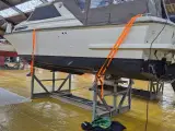 Coronet 26 Family - 2
