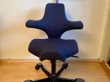 HÅG Capisco 8107