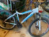 Cykler