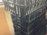 Transportkasser til Fasaner/Ænder