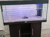 Akvarier