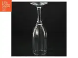 Champagneglas (str. 18 cm) - 2