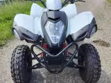 Atv Adly 150s - 5