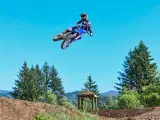 Yamaha YZ 250 LC - 3