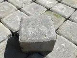 Belægnings sten