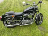 Harley Davidson Sporster 883 ccm