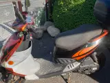 Pgo. 
