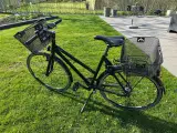 MBK damecykel med 7 gear - 2