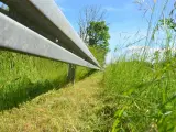 GreenTec Kantklipper FOX redskabsramme med RI80 kantklipper - 3