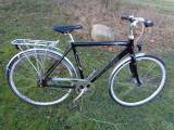 Batavus