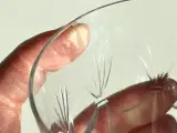 Krystalglas, pokalformede m slibninger, 5 stk samlet, NB - 5