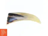 Hornformet broche (str. 6 cm) - 2