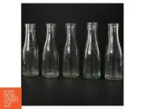 Genbrugsglasflasker (str. H. 19 cm. 250 ml) - 2