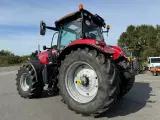 Case IH Puma 200 KUN 2500 TIMER! MED FRONT PTO OG LÆSSER BESLAG! - 5