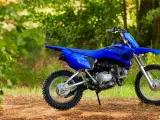 Yamaha TTR 110 - 3