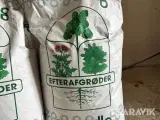 Gul sennep DLG økologisk, 60 kg - 3