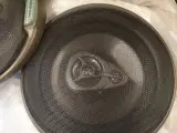 pioneer  