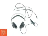 Headset fra Paracon (str. 20 x 22 cm) - 2
