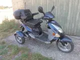 PGO T-Rex - 9982 Ålbæk