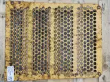 Ford 550 Frontgrill E0NN8150AA11Z - 4