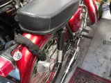 Triumph Tiger Cob - 2