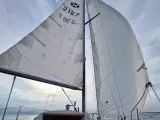 Maxi 77 Rental (daily/weekly)