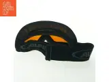 Ski briller fra Alpina (str. 19x8,5 cm) - 2