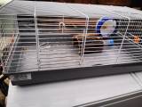 Bur til hamster 