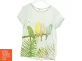 T-shirt med fuglemotiv fra H&M (str. 122) - 2