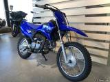 Yamaha TTR 110 - 2