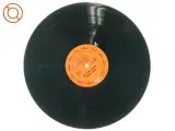 Andy Bown, sweet william fra Mercury (str. 30 cm) - 2