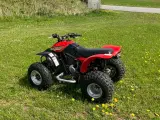 Honda TRX300EX - 2